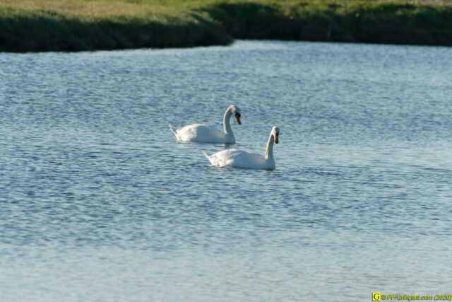 05 - Escapade du 29 novembre 2020 — Moments complotistes