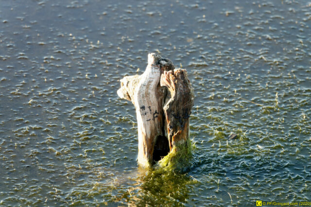 06 - Escapade du 29 novembre 2020 — Moments complotistes