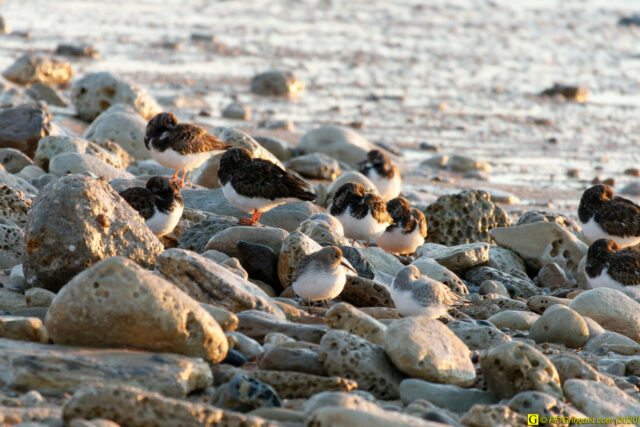 11 - Escapade du 29 novembre 2020 — Moments complotistes