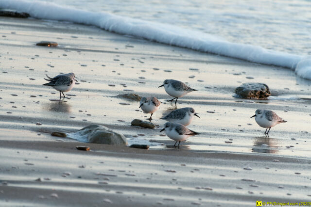 12 - Escapade du 29 novembre 2020 — Moments complotistes