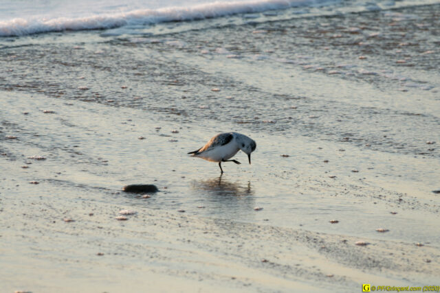 13 - Escapade du 29 novembre 2020 — Moments complotistes