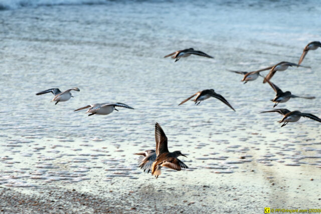 15 - Escapade du 29 novembre 2020 — Moments complotistes