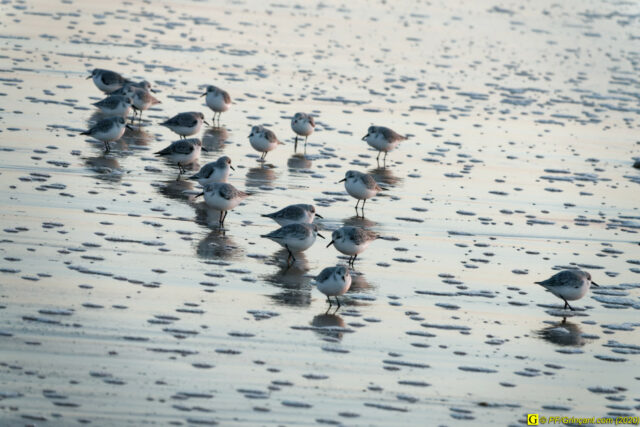 16 - Escapade du 29 novembre 2020 — Moments complotistes