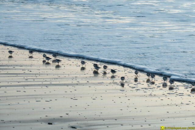 17 - Escapade du 29 novembre 2020 — Moments complotistes