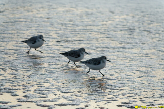 18 - Escapade du 29 novembre 2020 — Moments complotistes