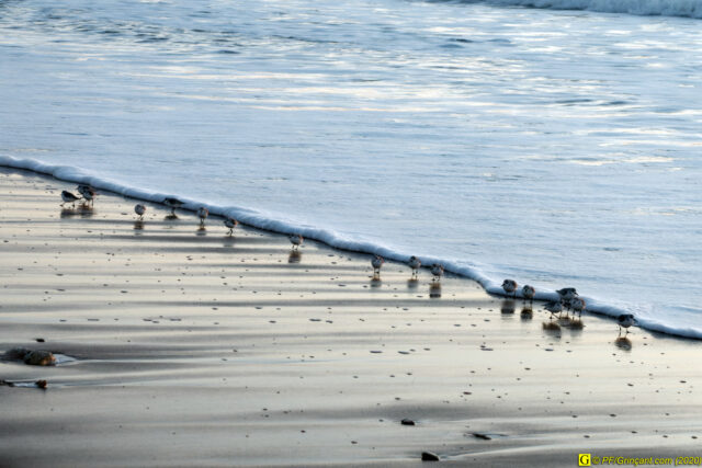 19 - Escapade du 29 novembre 2020 — Moments complotistes