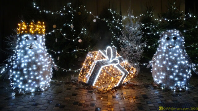 Le cadeau des pingouins