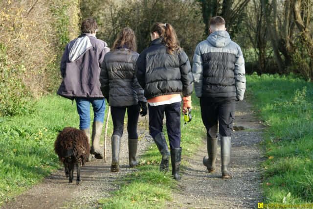 Une bien sympathique petite famille
