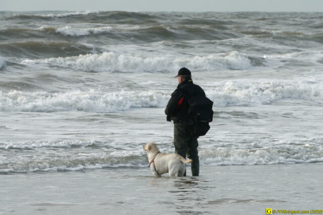 L'homme, son chien, la mer