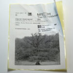 Précieux tableaux photo : ce coliseur est un salopard Étiquette d'identification/de production — Tableau photo