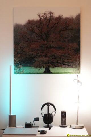 Le tableau accroché au mur