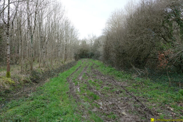 Boue, gadoue ou glaise ?