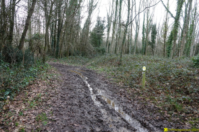Sentier de randonnée boueux