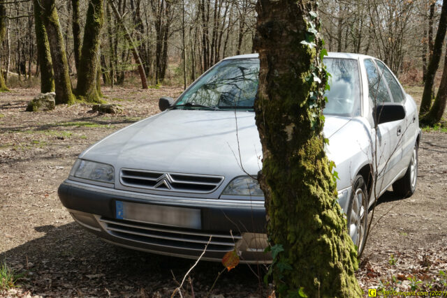 Ma Xantia en forêt : pas farouche !