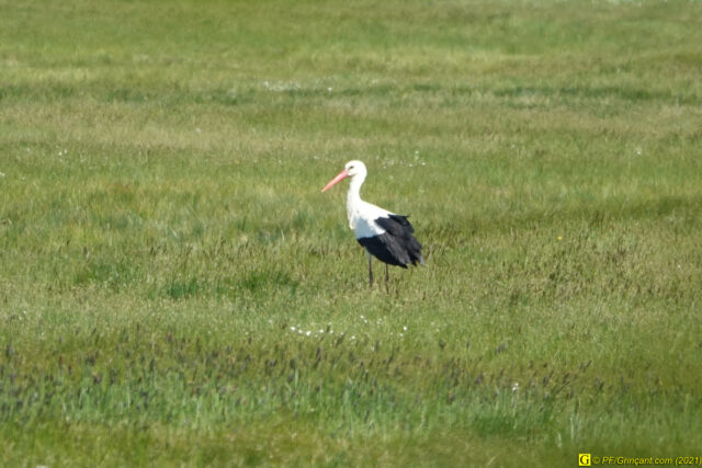 Photo du 14/04/2021 — 4/9