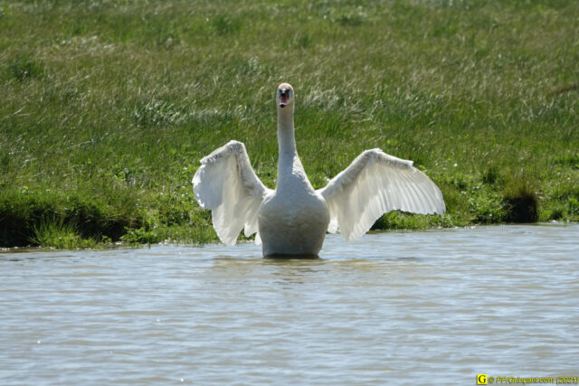 Photo du 14/04/2021 — 2/9