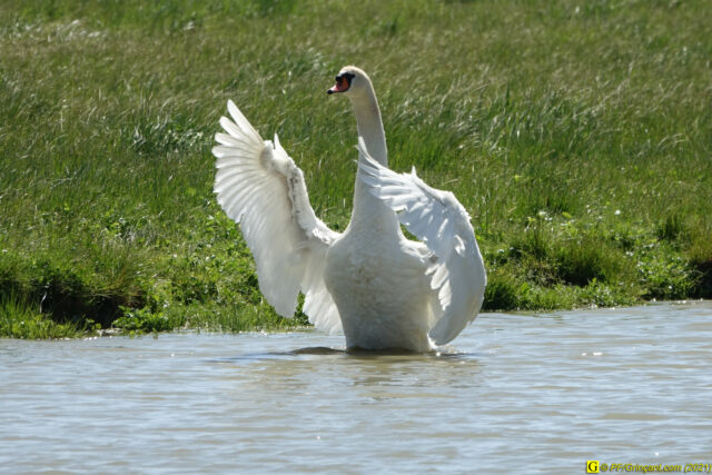 Photo du 14/04/2021 — 3/9