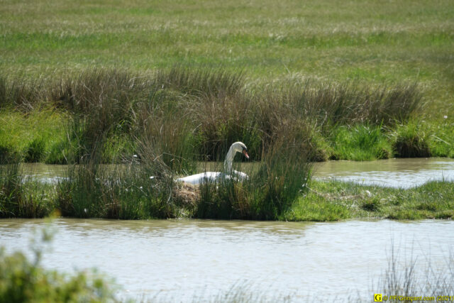 Photo du 14/04/2021 — 5/9