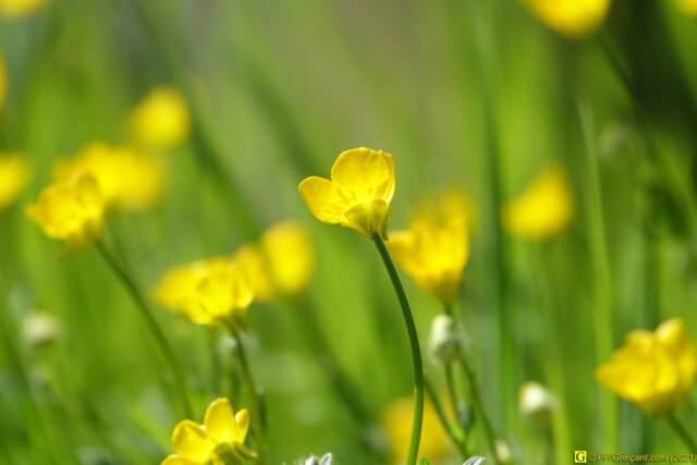 Photo du 14/04/2021 — 7/9