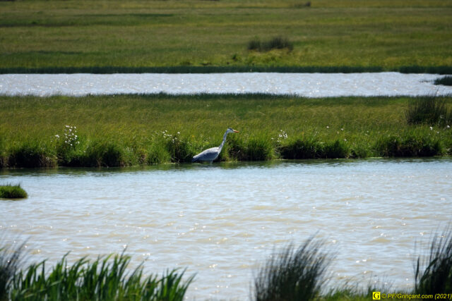 Photo du 14/04/2021 — 1/9