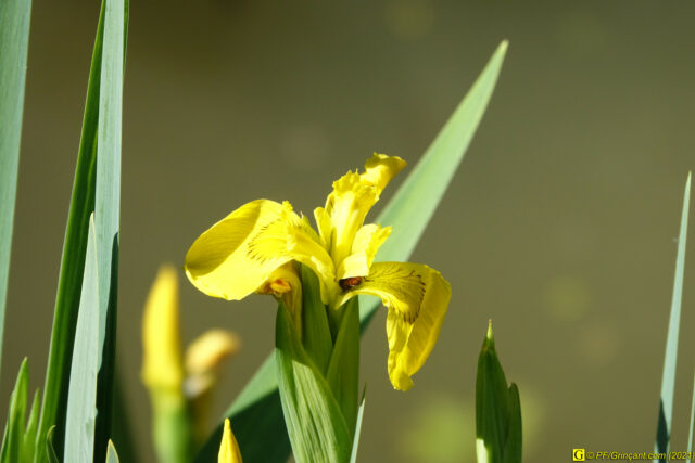 Photo du 14/04/2021 — 6/9