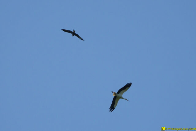 Photo du 14/04/2021 — 8/9