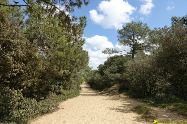 1 — “Loin” – Chemin de sable