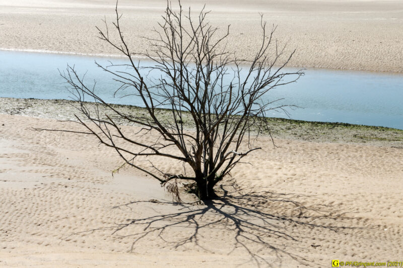 28/03/2021 – En bord de mer (2)