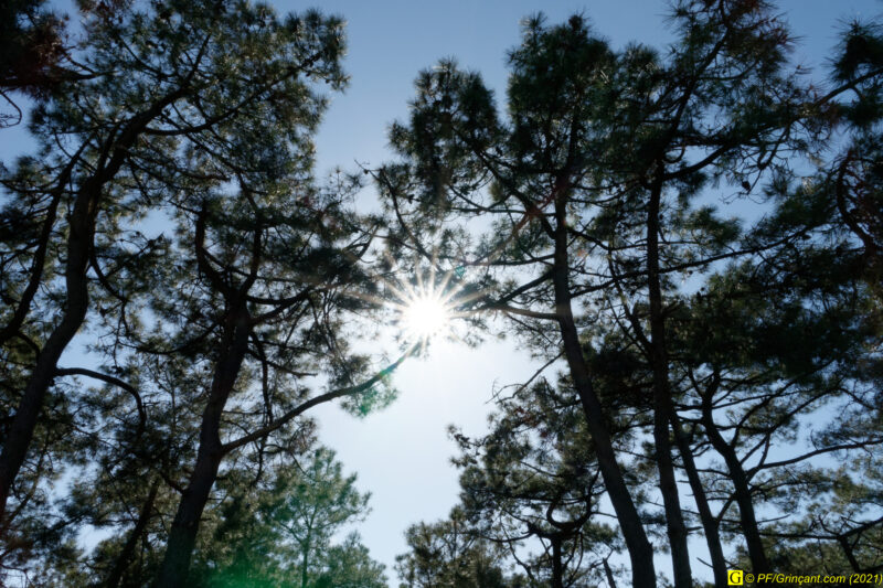 28/03/2021 – En bord de mer (3)