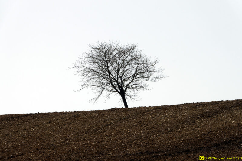 30/03/2021 – En bord de rivière (3)