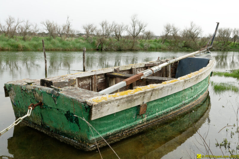 31/03/2021 – Entre mer et marais (3)