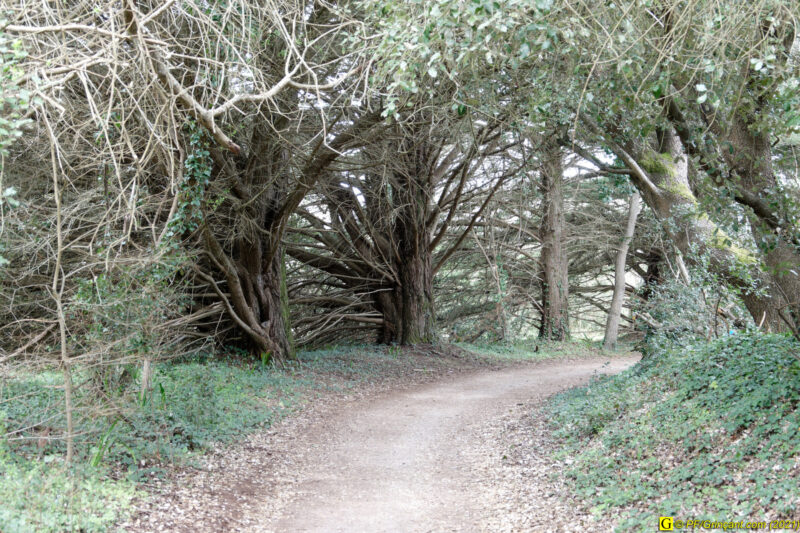 31/03/2021 – Entre mer et marais (5)