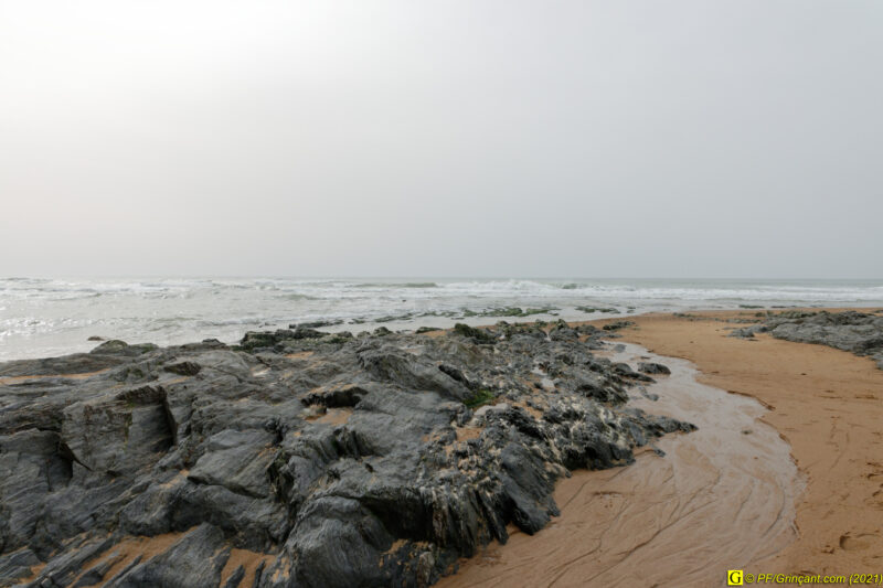 31/03/2021 – Entre mer et marais (10)