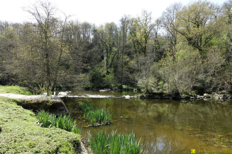 09/04/2021 – Autour de la rivière tumultueuse (1)