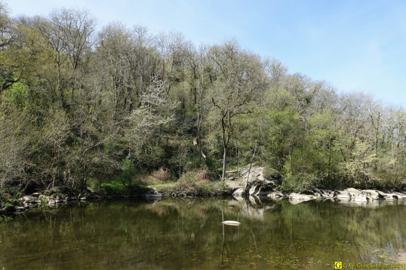 09/04/2021 – Autour de la rivière tumultueuse (2)
