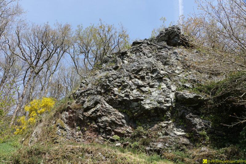 09/04/2021 – Autour de la rivière tumultueuse (7)