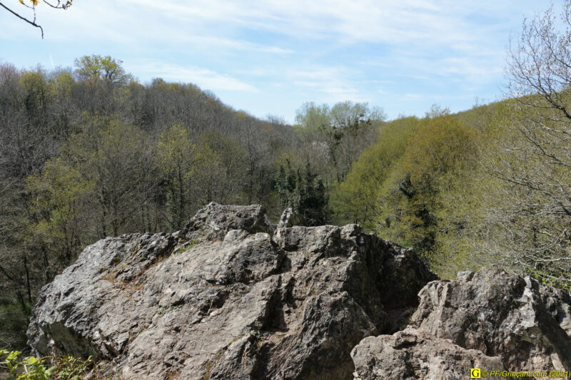 09/04/2021 – Autour de la rivière tumultueuse (8)