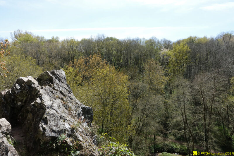 09/04/2021 – Autour de la rivière tumultueuse (9)