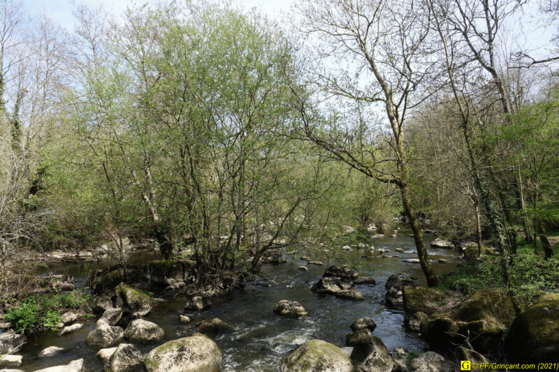 09/04/2021 – Autour de la rivière tumultueuse (12)