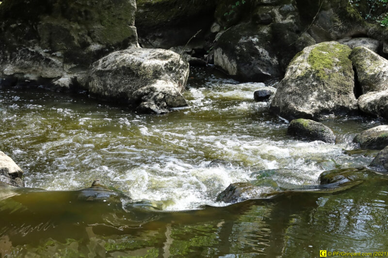 09/04/2021 – Autour de la rivière tumultueuse (13)