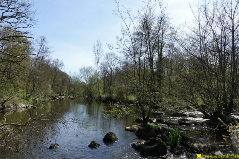09/04/2021 – Autour de la rivière tumultueuse (15)