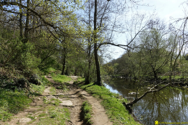 09/04/2021 – Autour de la rivière tumultueuse (16)