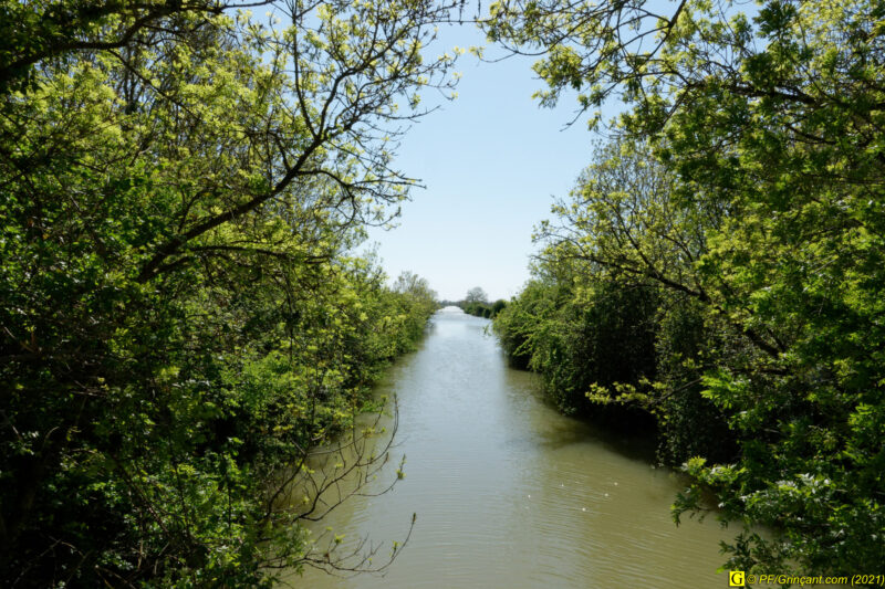 14/04/2021 – Dans les marais (3)