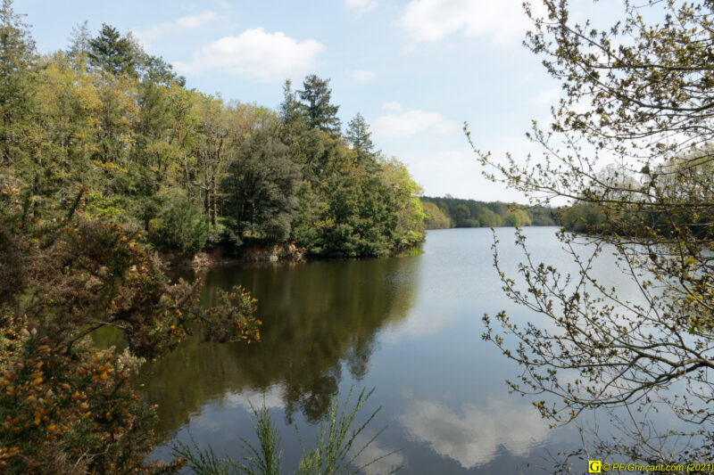 18/04/2021 – Autour du lac (3)