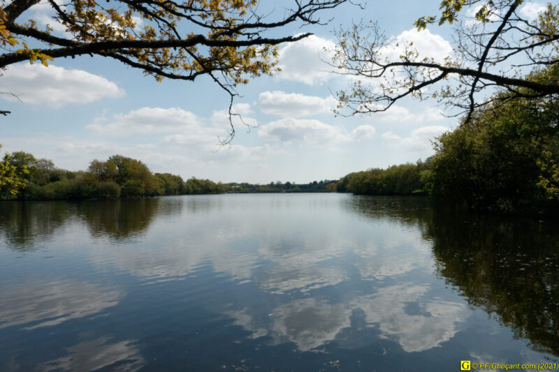 18/04/2021 – Autour du lac (5)