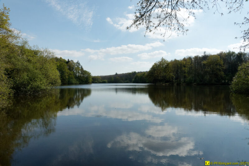 18/04/2021 – Autour du lac (7)