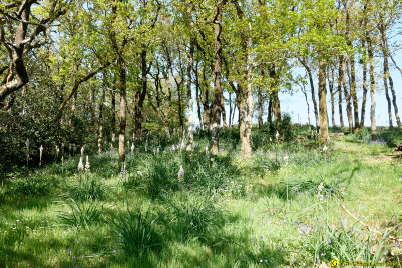 18/04/2021 – Autour du lac (8)