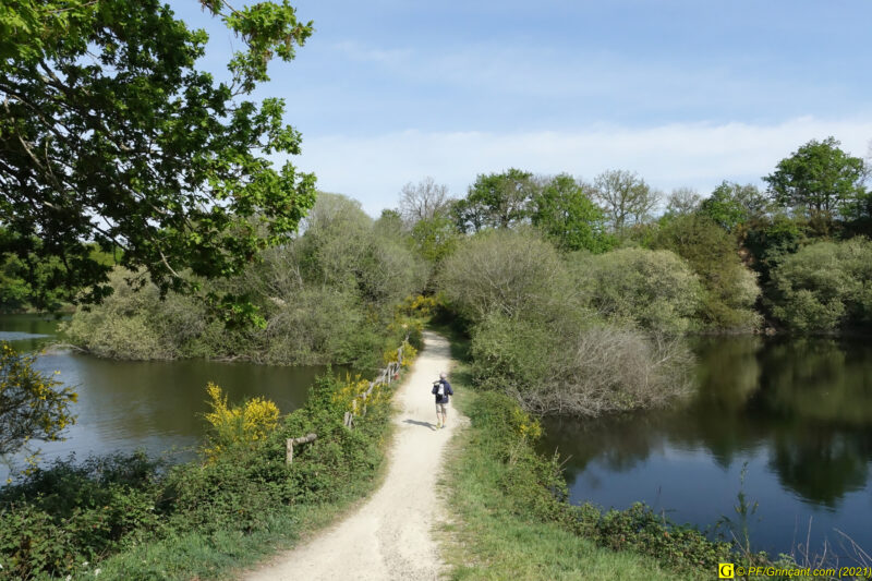 25/04/2021 – Lac et mare (1)