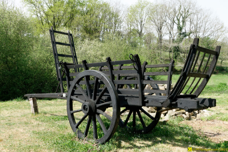 25/04/2021 – Lac et mare (4)