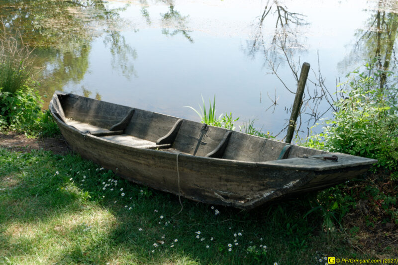 29/04/2021 – Campagne (4)